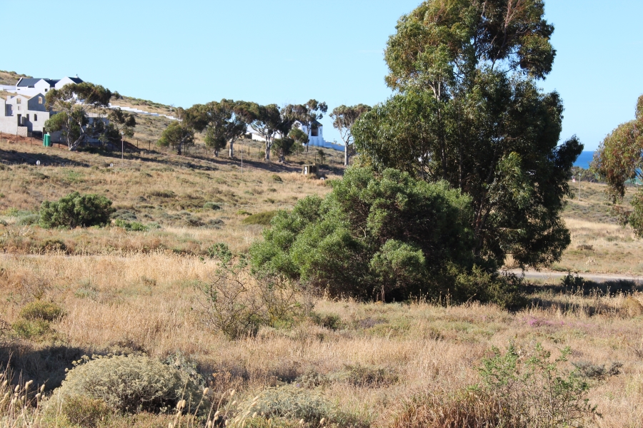 0 Bedroom Property for Sale in St Helena Views Western Cape